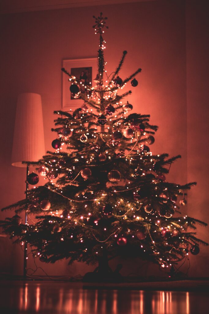 Weihnachtsbaum